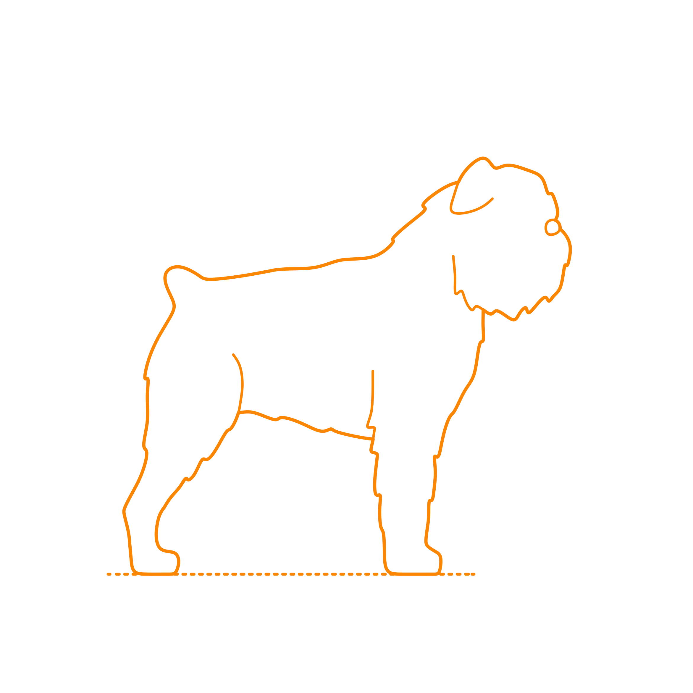 Animals Dogs Brussels Griffon Stencil Svg Design File Free Vectors